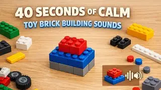 &ldquo;40 Seconds of Calm Toy Brick Building Sounds 🧱🔊&rdquo;