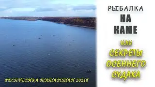 Секреты осеннего судака. Рыбалка на нижней Каме.