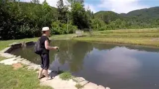 стара вага