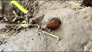 Survival Skills: SMART idea and USEFULWith Eel Trap In Hole #shorts #bushcraft #camping#Eeltrap
