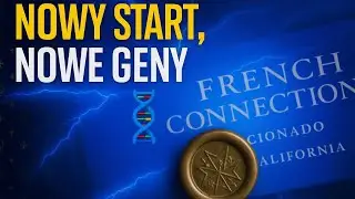 WE ARE STARTING WITH FRENCH CONNECTION 🧬
