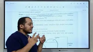 Digestive system Anatomy تشريح الجهاز الهضمي