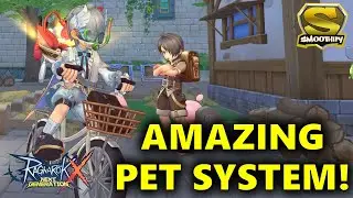 ROX Global - An Impressive & Better Pet System! [ENG]