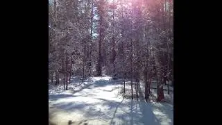 зимнее 20250316 120420