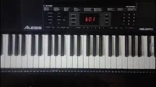 Teclado Organeta Alesis Melody 61 Mkii 61 Teclas (Usado)