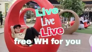 Jun P Technician is live happy Sunday free WH for you guys