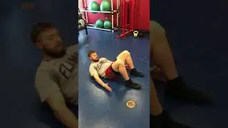 Penguin Abs