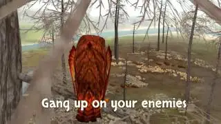 Clan of Owls Promo Video