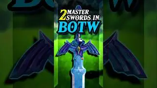 Are there TWO Master Swords in Botw? #breathofthewild #totk #mastersword #zelda