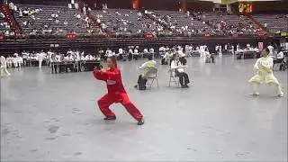 Taiwan October 2014 World Cup Tai Chi Chuan Championship, Ergastiri of TCC F.E.X.