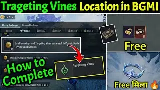 Use Florawings and Targeting Vines Mission Complete | Targeting Vines Location in BGMI | New Event