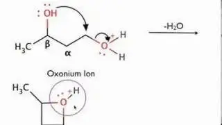 Organic Chemistry - Mechanism of Diol Cyclization