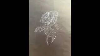 Harper's Art Portfolio 2025