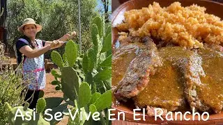 Esta Comida La Hago Muy Seguido En El Rancho - Asi Se Vive En El Rancho