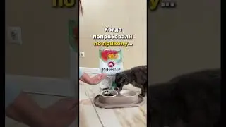 PetFoodLab   брала на WBкопируй  артикул   #WW226582