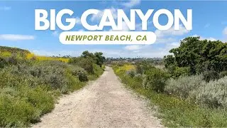 Big Canyon - Newport Beach, Ca - 4K Walking
