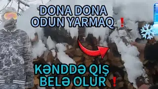 ❄️ Dona Dona Odun Yarmaq &ndash; Qarlı Kənd Səhərinin Sərt Həqiqəti