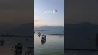 Exploring Dal lake kashmir #youtubeshorts #travel #dallake #shorts #love #shortsviral #music #lake🩷