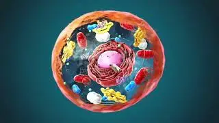 Introduction of Cell in urdu with animation#  cell biology