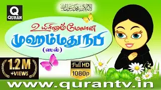 Islamic Cartoon | உலக முஸ்லீம்கள் நபி (ஸல் ) அவர்களை உயிரினும் மேலாக  நேசிப்பது ஏன் ? என அறிவோம்.