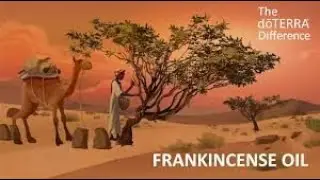 doTERRA: Frankincense Co-Impact-Sourcing