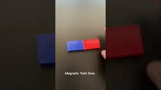 Unveiling the Mysteries of Magnetic Field Lines: A Visual Demonstration