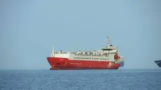 Dalal F in Luka Koper (Graded)