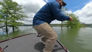 10.2lb Giant Bussey Brake Bass after a front