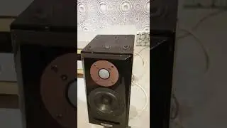 Usher SD-500  kolumny podstawkowe