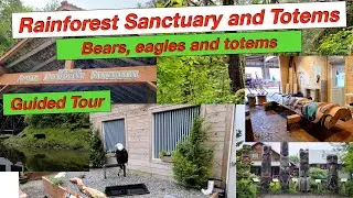 🇺🇸 Тропические леса Аляски в Кетчикане. Круизная экскурсия с медведями, белоголовыми орланами и тотемами.