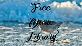 Royalty Free Music Library ♫ Freedom In Isolation - Darren Curtis