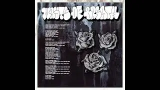 Waste Of Breath - Buried