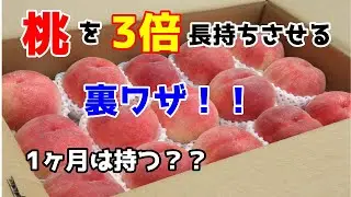 【検証】桃を長期間保存できる裏ワザを試してみた！1ヶ月はイケル？