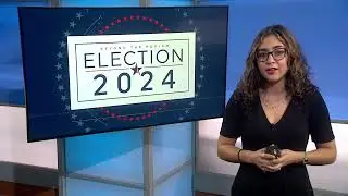Election Aftermath: Navigating Post-Election stress and anxiety