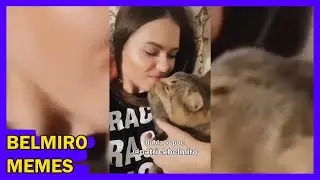 Belmiro Memes: Dublagens de animais engra&ccedil;ados - Epis&oacute;dio 614