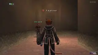 Final Fantasy XI Guide: The Road to Aht Urhgan