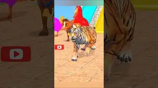 #animalsgames #cartoon #animation #animals #animalstransformation