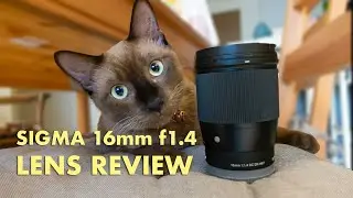 Why the Sigma 16mm f1.4 is the Best Wide Lens for Sony ZV-E10 | Video Review & Bokeh Test