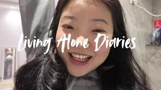 Living Alone Diaries | back in delhi, cleaning, shopping, movie, good food and wishlist shopping