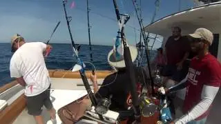 Gulf  Stream Trip with the Legacy out of Oregon Inlet Memorial Day 2017