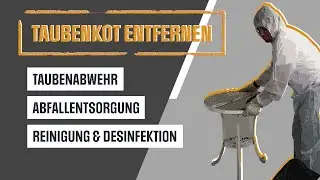 Taubenkot entfernen inklusive Reinigung und Entsorgung (zum Festpreis)