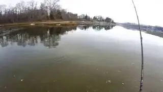 Predator Glide bait ''Swim Test''