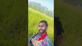 #song aisi jindagi dungi #love #hindisong #music #bollywood #khesarilalkajalraghwani #funny