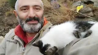 yüz verdik tepemize çıltı 🥰#keşfet#cats#cat#catlover#fishing#balıkavı#food#okuma#fishingvideo