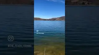 You GOTTA be around water!!  #fishing #bassfishing #bfs #baitfinesse #baitfinessesystem #smallmouth