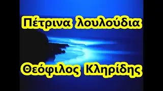 Πέτρινα  λουλούδια Θεόφιλος Κληριδης