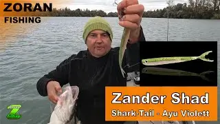 Zander Pelagic... best shad?