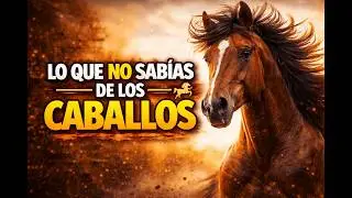 5 Cosas Sorprendentes que No Sabías de los Caballos