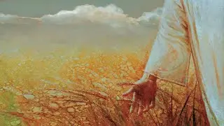 عقلية الحصاد المتنوع