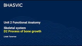 D2 Process of bone growth